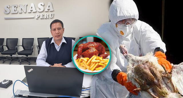 ¿Podemos seguir comiendo pollo tras la alerta sanitaria de la gripe aviar en Perú?